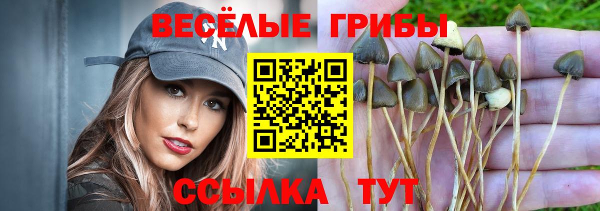 Псилоцибиновые грибы Psilocybine cubensis  Вход с VPN  Псилоцибиновые грибы Magic Shrooms  Алексеевка 