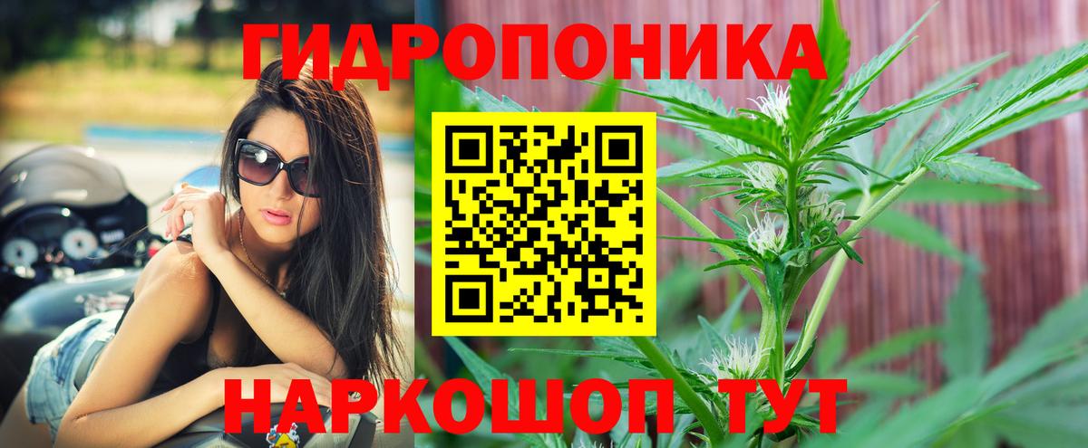 Каннабис сатива  Марихуана AK-47  Конопля Bruce Banner  Вход с VPN  Алексеевка 
